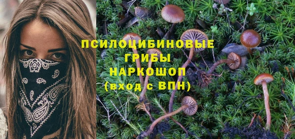 jwh Абаза