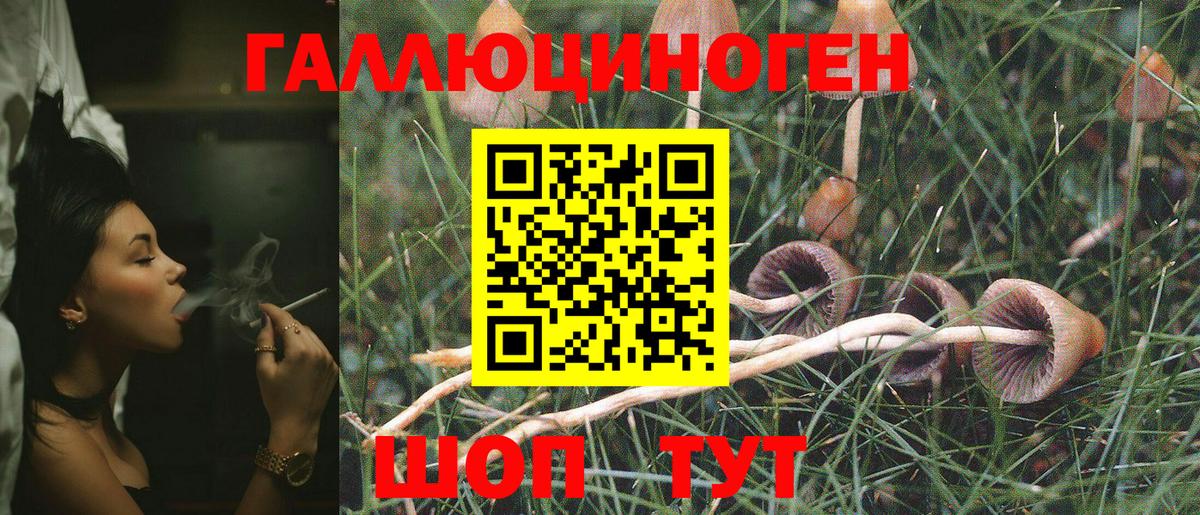 как найти наркотики  Псилоцибиновые грибы мухоморы  Вход с VPN  Ливны  Галлюциногенные грибы MAGIC MUSHROOMS 